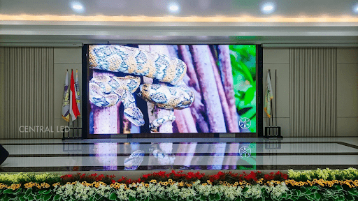 Sekolah Cordova Citra Tangerang