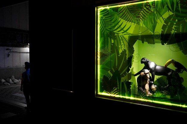 Visual Unik dengan Immersive LED Display